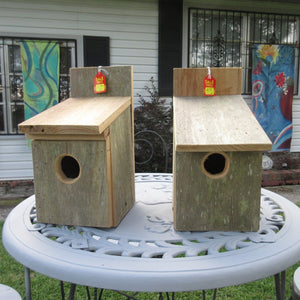 Blue Bird Birdhouses Are Back In Stock!