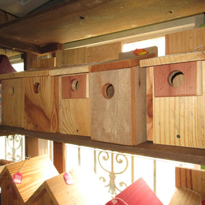 Bird Houses Are Back In Stock!