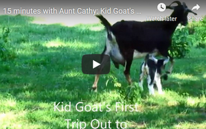 Kid Goat's First Trip Out to Pasture