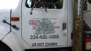 How Pettie Tree Experts Saved Our Home