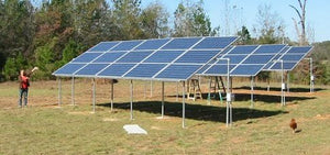 solar electricity, a dish towel lady and a free-range chicken