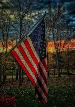 Pray, Influence, Vote