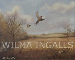 Bringing Wilma Ingalls on board!