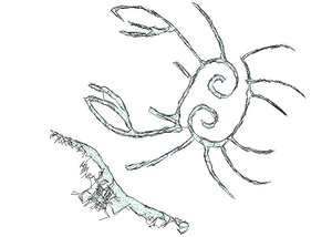 Coral Crab Add-On Embroidery Design